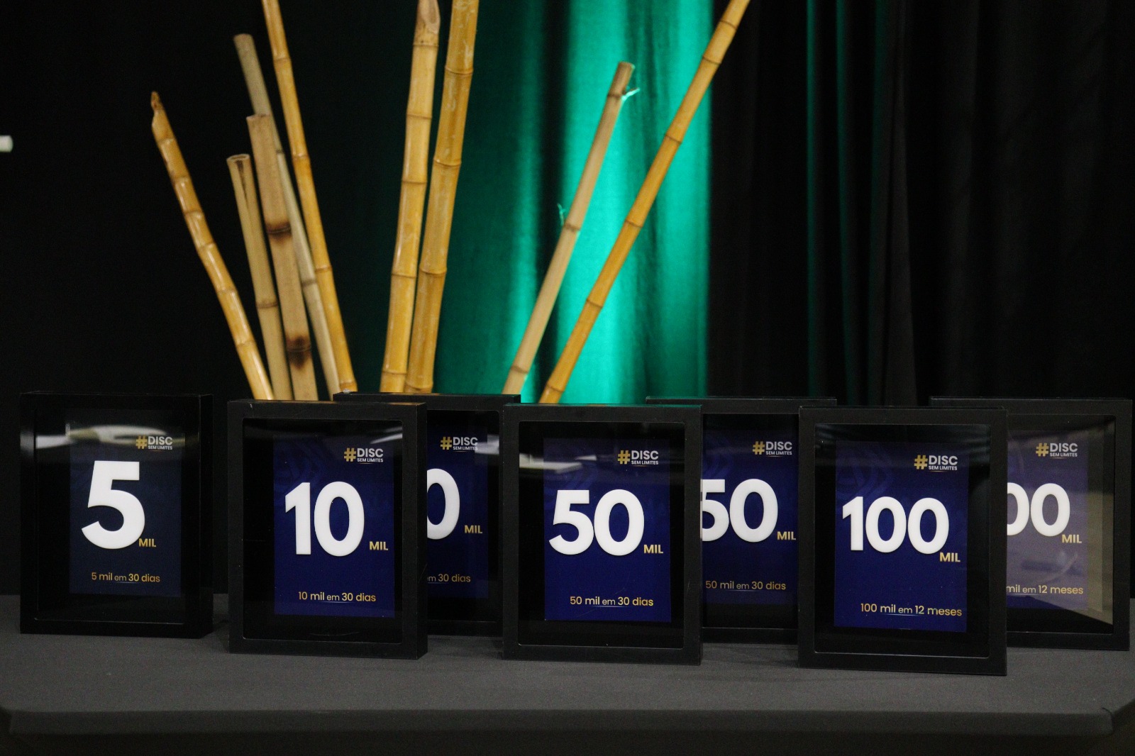 WhatsApp Image 2026-03-13 at 18.30.32